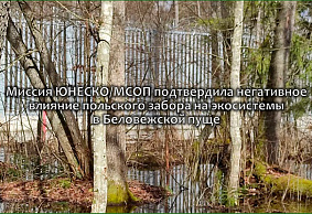 Миссия ЮНЕСКО/МСОП подтвердила негативное влияние польского забора на экосистемы в Беловежской пуще