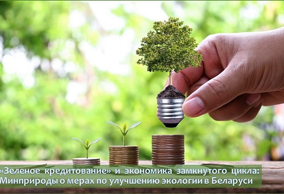 «Зеленое кредитование» и экономика замкнутого цикла: Минприроды о мерах по улучшению экологии в Беларуси
