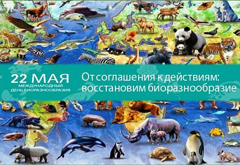 22 мая отмечается Международный день биологического разнообразия